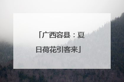 广西容县：夏日荷花引客来