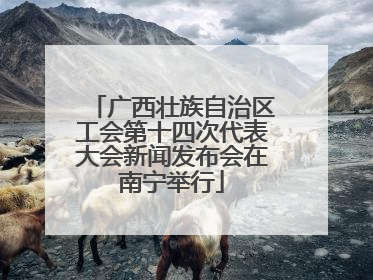 广西壮族自治区工会第十四次代表大会新闻发布会在南宁举行