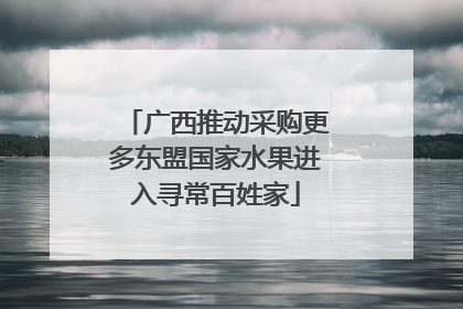 广西推动采购更多东盟国家水果进入寻常百姓家
