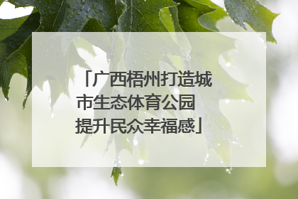 广西梧州打造城市生态体育公园 提升民众幸福感