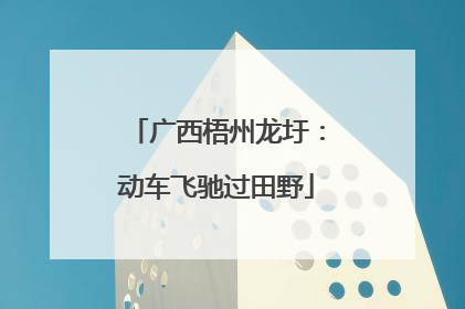 广西梧州龙圩：动车飞驰过田野