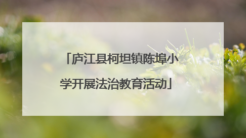 庐江县柯坦镇陈埠小学开展法治教育活动