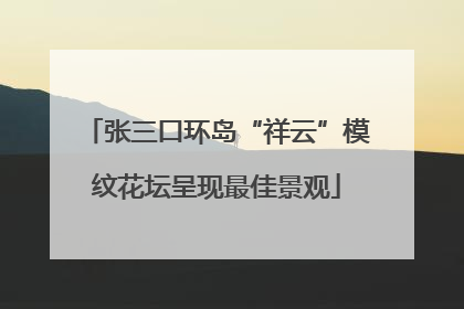 张三口环岛“祥云”模纹花坛呈现最佳景观