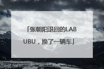 张朝阳退回的LABUBU，换了一辆车