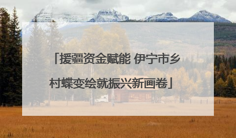 援疆资金赋能 伊宁市乡村蝶变绘就振兴新画卷