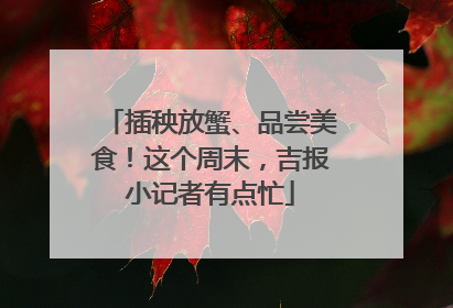 插秧放蟹、品尝美食！这个周末，吉报小记者有点忙