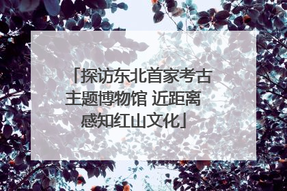 探访东北首家考古主题博物馆 近距离感知红山文化