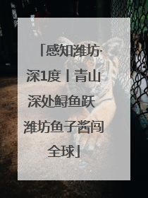 感知潍坊·深1度丨青山深处鲟鱼跃 潍坊鱼子酱闯全球