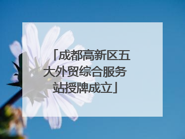 成都高新区五大外贸综合服务站授牌成立
