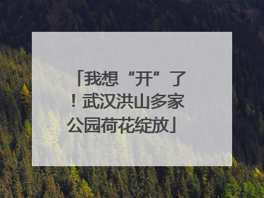 我想“开”了！武汉洪山多家公园荷花绽放