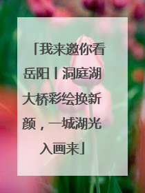 我来邀你看岳阳丨洞庭湖大桥彩绘换新颜，一城湖光入画来