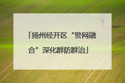 扬州经开区“警网融合”深化群防群治