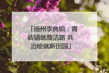 扬州李典镇：青砖铺就整洁路 共治绘就新田园