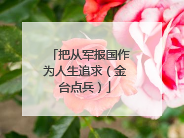 把从军报国作为人生追求（金台点兵）