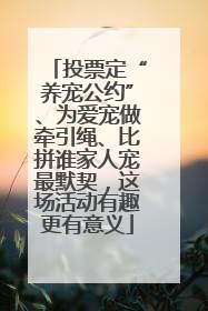 投票定“养宠公约”、为爱宠做牵引绳、比拼谁家人宠最默契，这场活动有趣更有意义