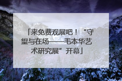 来免费观展吧！“守望与在场——毛本华艺术研究展”开幕