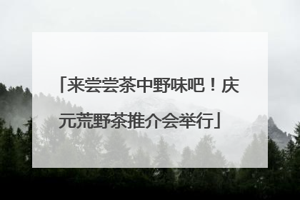来尝尝茶中野味吧！庆元荒野茶推介会举行