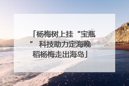 杨梅树上挂“宝瓶” 科技助力定海晚稻杨梅走出海岛