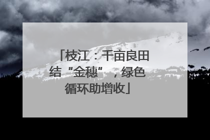 枝江：千亩良田结“金穗”，绿色循环助增收