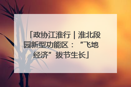 政协江淮行｜淮北段园新型功能区：“飞地经济”拔节生长