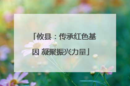 攸县：传承红色基因 凝聚振兴力量