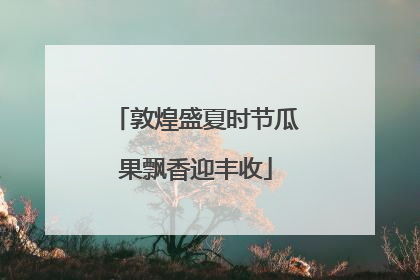 敦煌盛夏时节瓜果飘香迎丰收