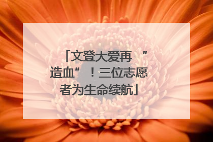 文登大爱再 “造血”！三位志愿者为生命续航