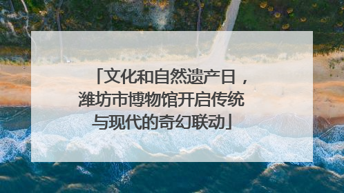 文化和自然遗产日，潍坊市博物馆开启传统与现代的奇幻联动