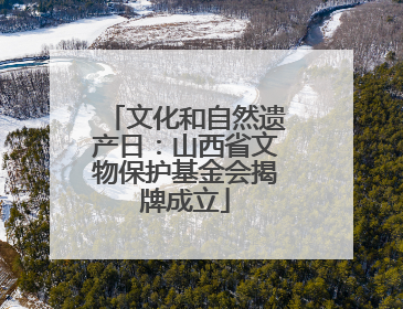 文化和自然遗产日：山西省文物保护基金会揭牌成立
