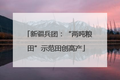 新疆兵团：“两吨粮田”示范田创高产