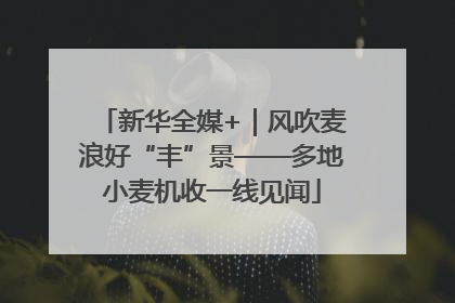 新华全媒+｜风吹麦浪好“丰”景——多地小麦机收一线见闻
