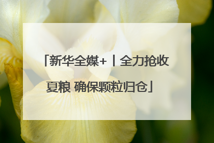 新华全媒+丨全力抢收夏粮 确保颗粒归仓