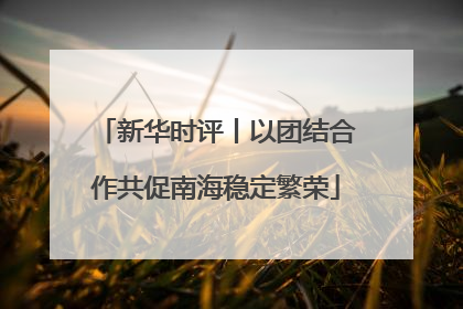 新华时评丨以团结合作共促南海稳定繁荣