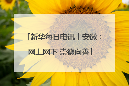 新华每日电讯丨安徽：网上网下 崇德向善