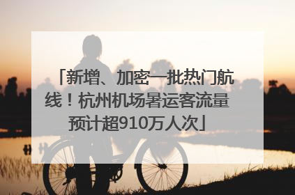 新增、加密一批热门航线！杭州机场暑运客流量预计超910万人次