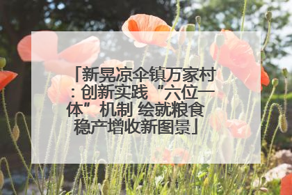 新晃凉伞镇万家村：创新实践“六位一体”机制 绘就粮食稳产增收新图景