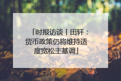 时报访谈丨田轩：货币政策仍将维持适度宽松主基调