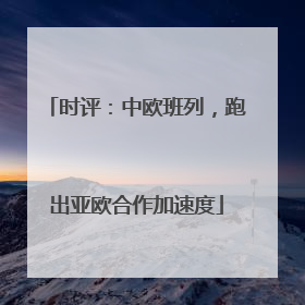 时评：中欧班列，跑出亚欧合作加速度