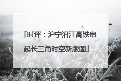 时评：沪宁沿江高铁串起长三角时空新版图