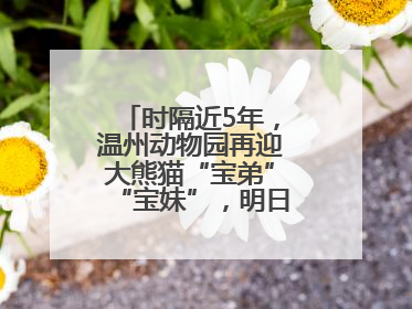 时隔近5年，温州动物园再迎大熊猫“宝弟”“宝妹”，明日正式开馆！