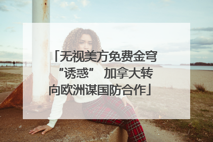 无视美方免费金穹“诱惑” 加拿大转向欧洲谋国防合作
