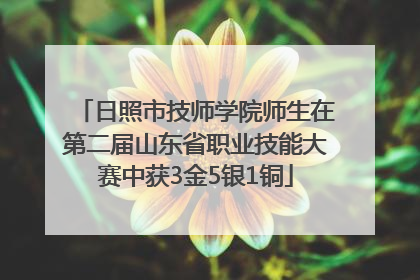 日照市技师学院师生在第二届山东省职业技能大赛中获3金5银1铜