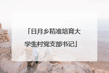 日月乡精准培育大学生村党支部书记