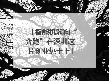 智能机器狗“奔跑”在深圳这片创业热土上