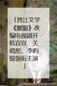 晋江文学《耀眼》改编电视剧开机官宣：关晓彤、李昀锐领衔主演