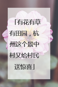 有花有草有田园，杭州这个景中村又给村民送惊喜