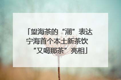 望海茶的“潮”表达 宁海首个本土新茶饮“又喝那茶”亮相