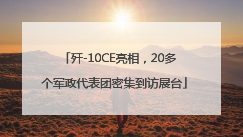 歼-10CE亮相，20多个军政代表团密集到访展台