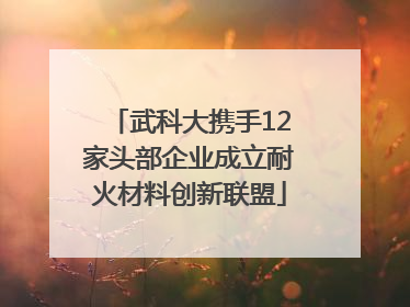 武科大携手12家头部企业成立耐火材料创新联盟