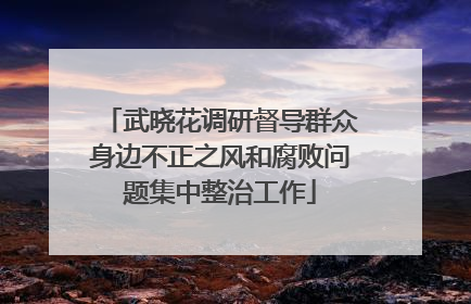 武晓花调研督导群众身边不正之风和腐败问题集中整治工作